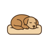 Soft Dog Beds