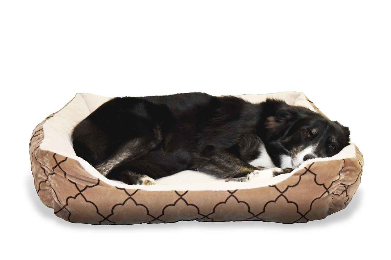 4. Materials Used in Dog Beds