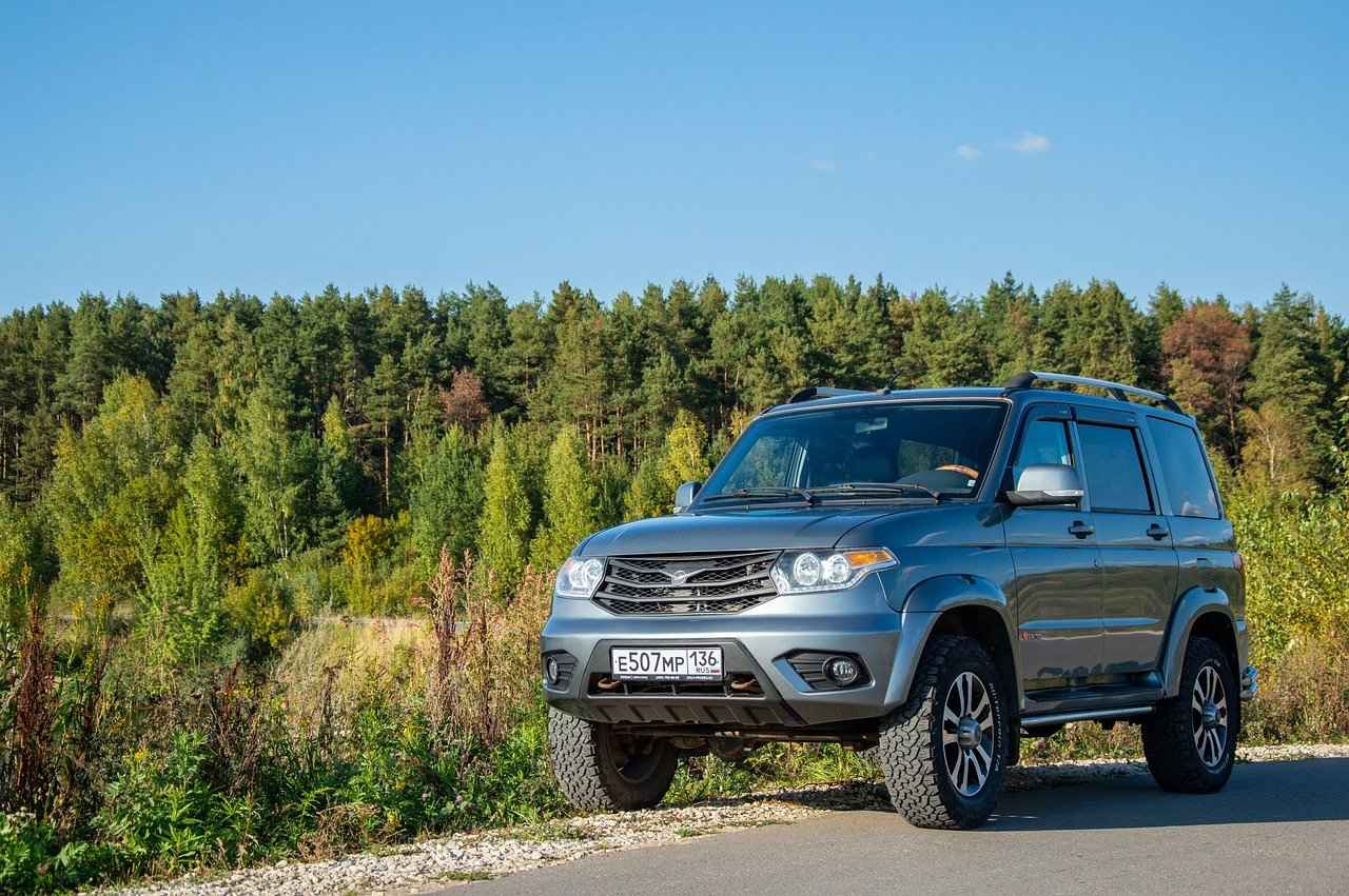 Dog Bed for Car: Comfort for Dogs on the Go 3 Benefits of Using a Dog Bed in the Car