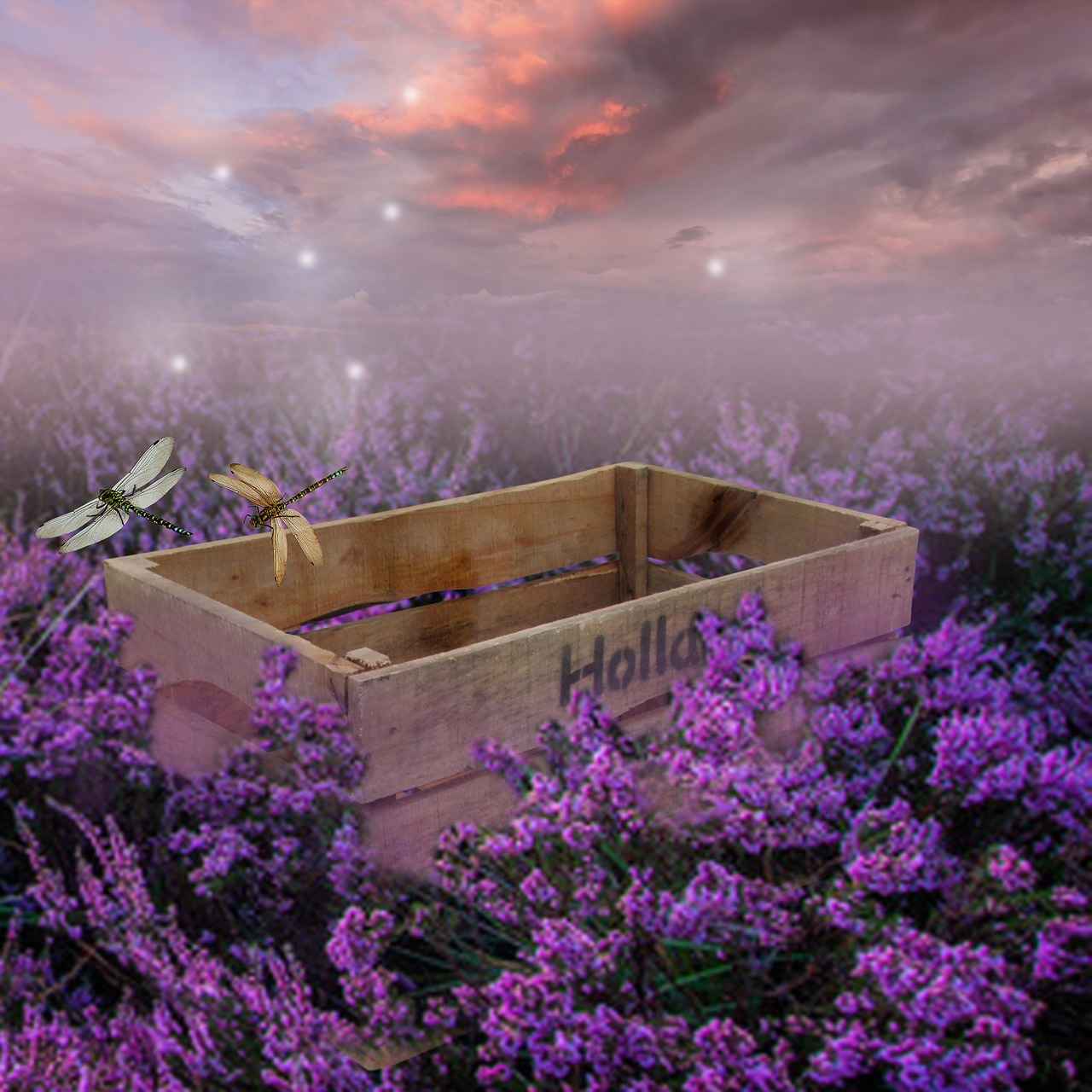 Benefits of a Dog Bed in a Crate