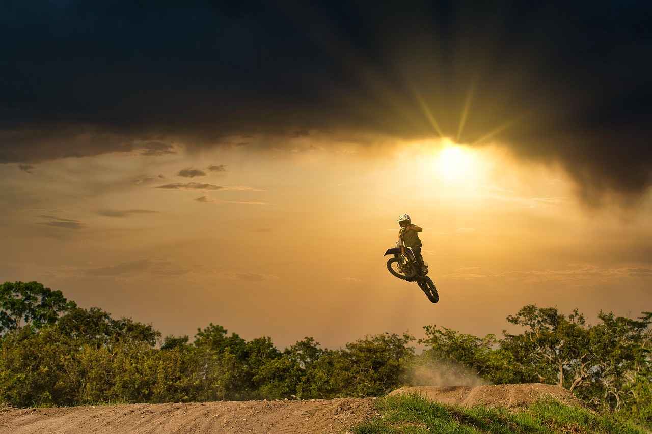 Benefits of Using a Dog Ramp