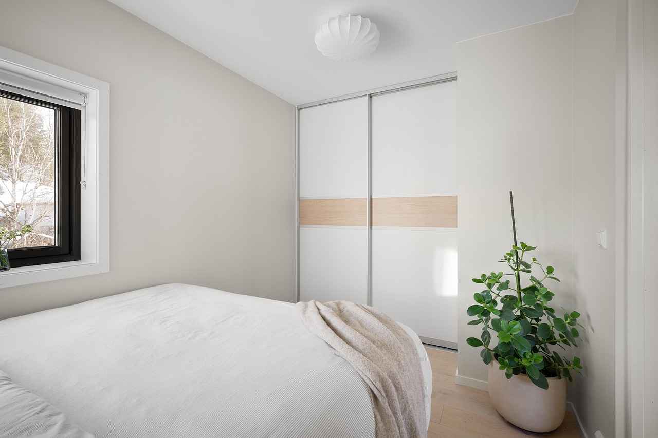 Maintaining Your Luxury Dog Bed