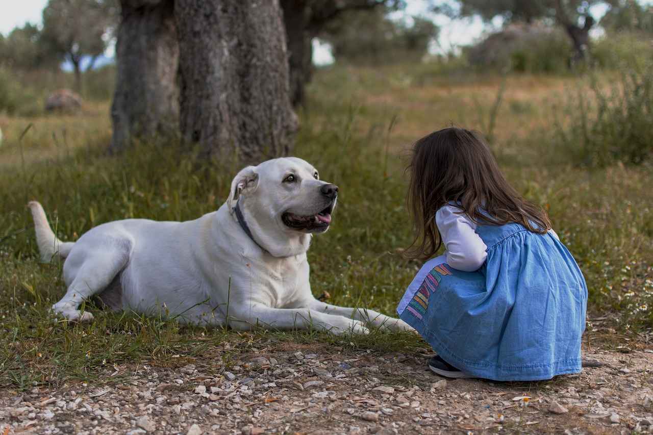 How to Prevent Your Dog from Peeing on Your Bed