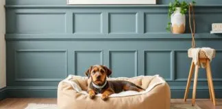 The Art of Creating a Cozy Home: A Guide to Soft Dog Beds and Beyond The Art of Making a Cozy Home: A Guide to Soft Dog Beds and More