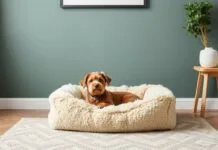 The Art of Creating a Cozy Home: More Than Just Soft Dog Beds The Art of Crafting a Cozy Home: Beyond Just Plush Dog Beds