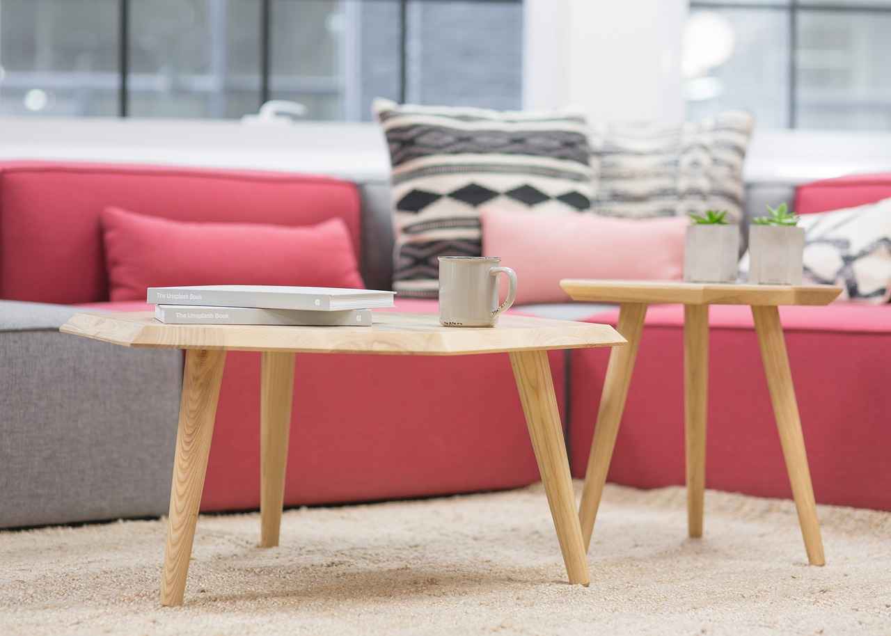 Choosing the Right Couch Dog Bed