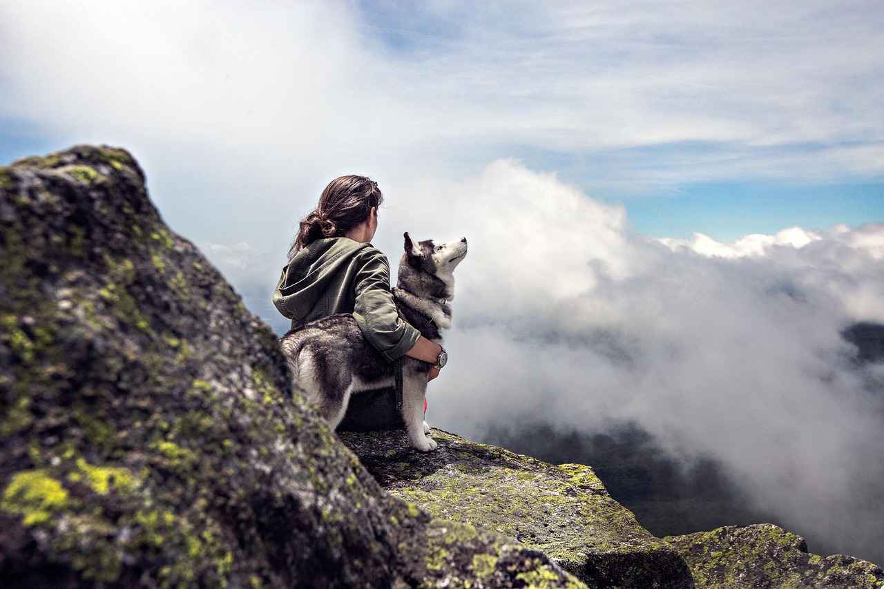 Choosing the Right Height for Your Dog Steps