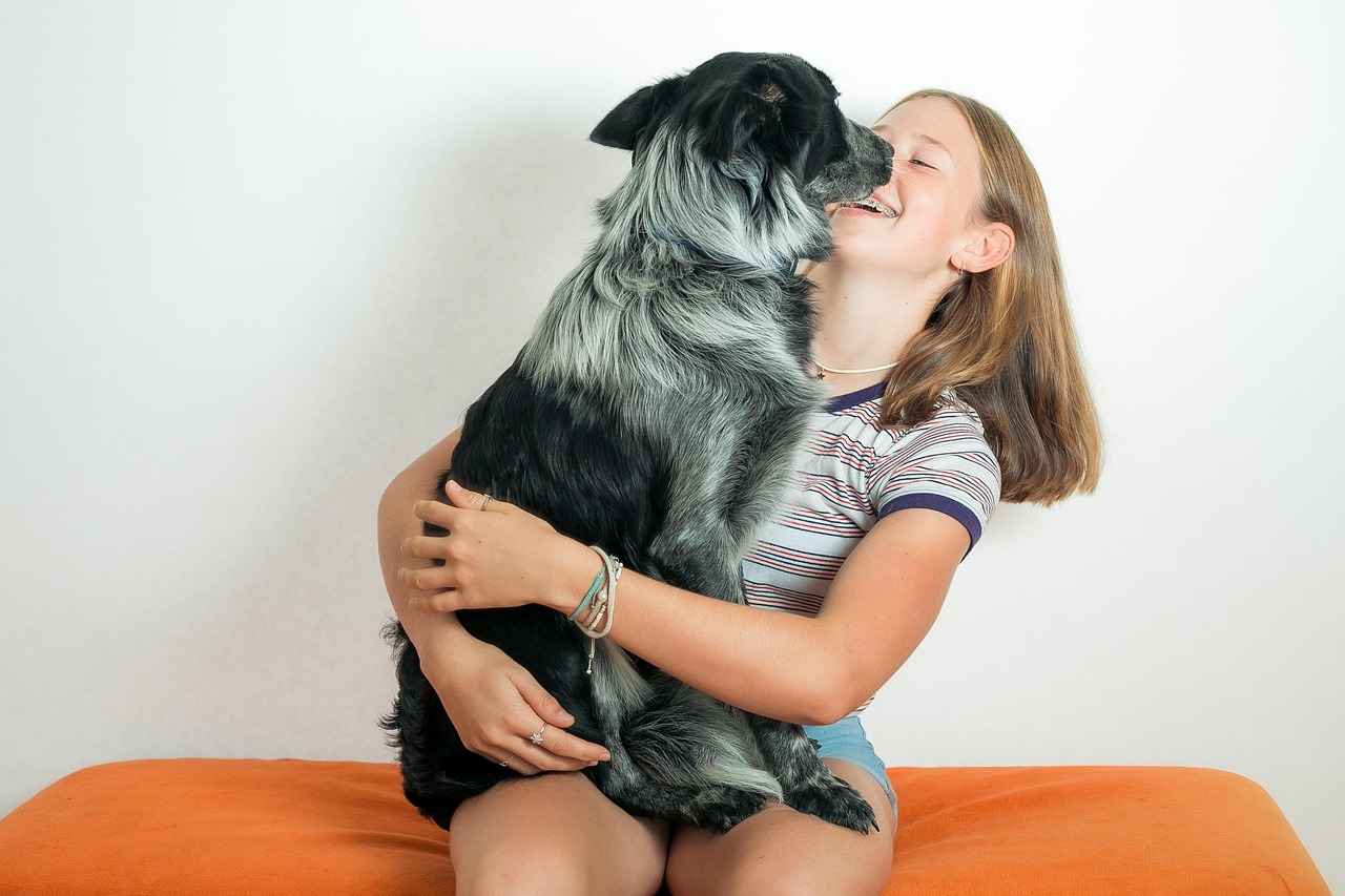 Extra Large Dog Beds Clearance: Great Deals for Big Dogs