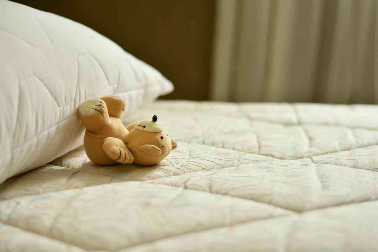 Budgeting for Your Dog's Bed